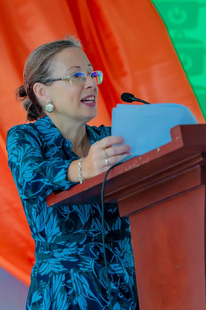 Marianne Young, UK Ambassador to Tanzania