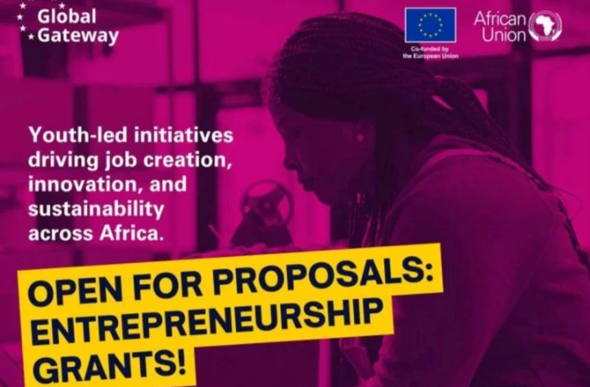 Apply for the AU–EU Youth Action Lab Entrepreneurship Grants
